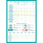 Πάνες Pampers Harmonie Value Pack Νο5 (11-16kg) 24τεμ - Image 5