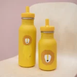 BOTTLE 500ML - MR. LION - Image 3