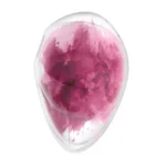 Satisfyer Αναρροφητής Αιδοίου με Δόνηση Κόκκινος - Image 2