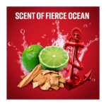 Old Spice Captain Αποσμητικό 48h σε Stick 70ml - Image 3