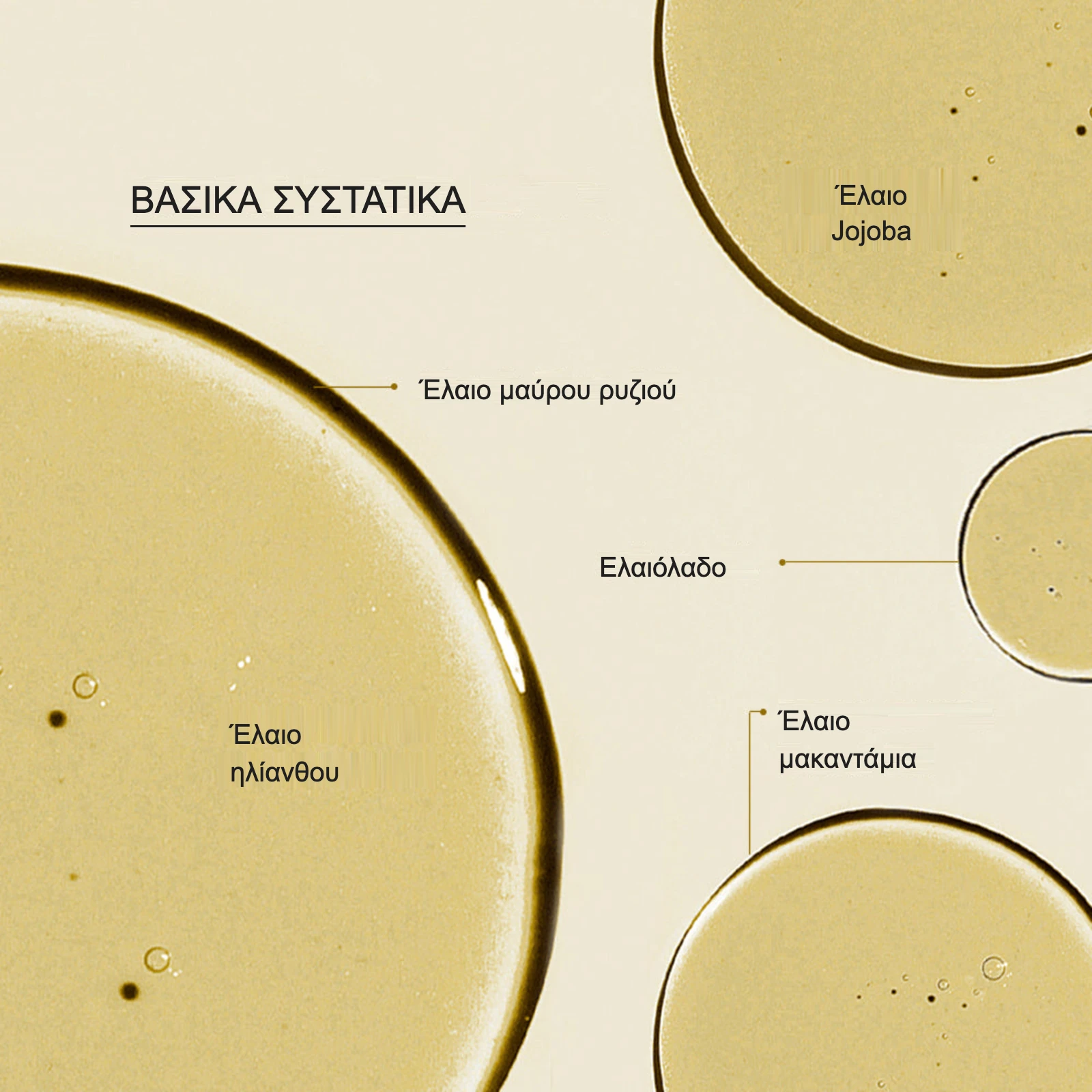 Τα 5 φυτικά έλαια της σύνθεσης